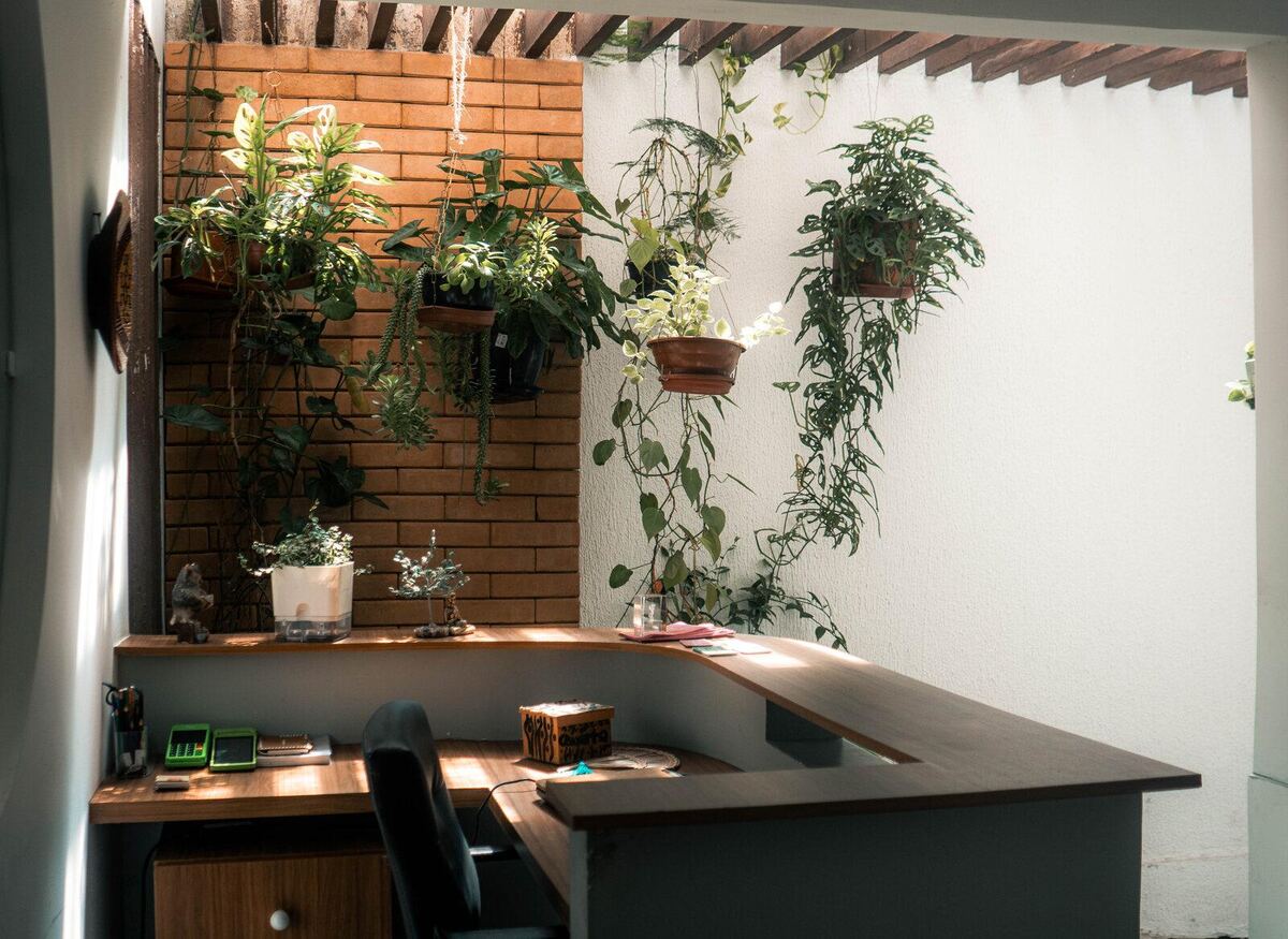 Recepção do Angá com parede de plantas